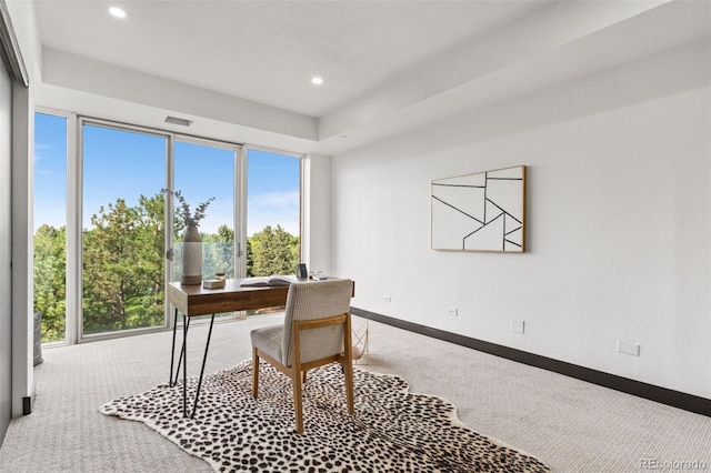 view of carpeted home office