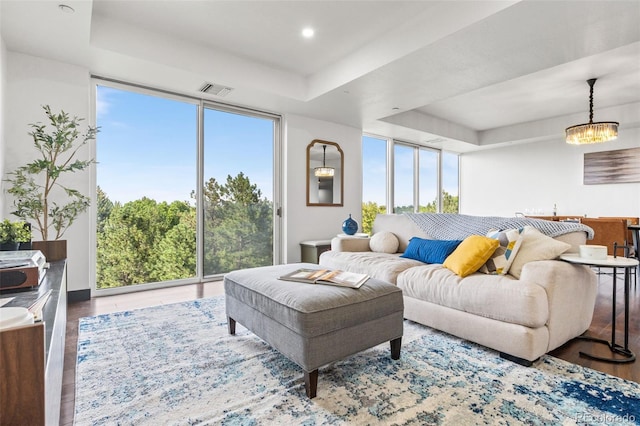 living room with hardwood / wood-style floors, plenty of natural light, and a raised ceiling