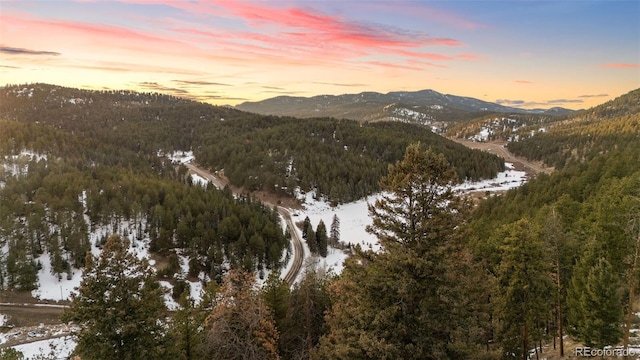 11725 Tomahawk Trl, Conifer, CO 80433 - mountain view featuring a forest