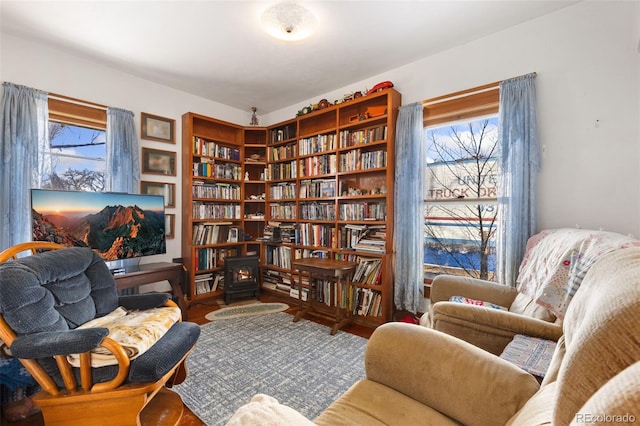 living area featuring a wood stove and plenty of natural light