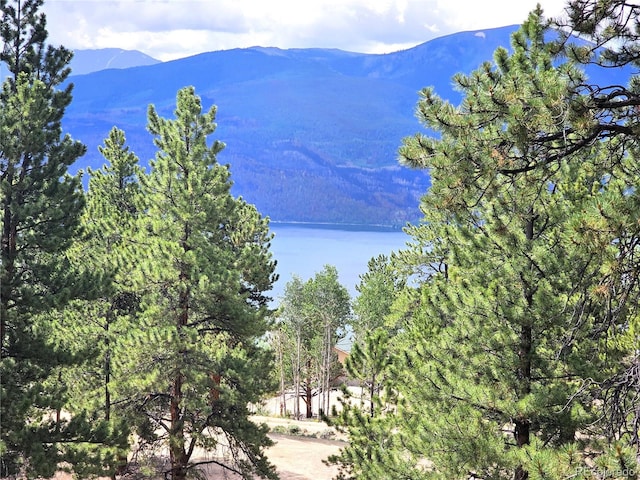 368 Parry Peak Dr, Twin Lakes CO, 81251 land for sale