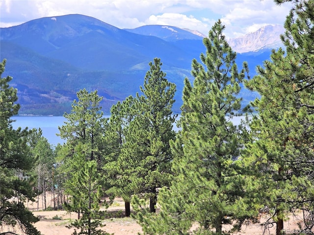 Listing photo 2 for 368 Parry Peak Dr, Twin Lakes CO 81251