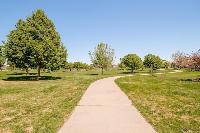 19595 N Mitchell Dr, Denver, CO 80249 - view of home's community featuring a lawn