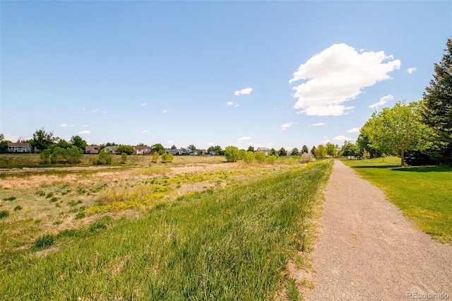 19595 N Mitchell Dr, Denver, CO 80249 - view of street