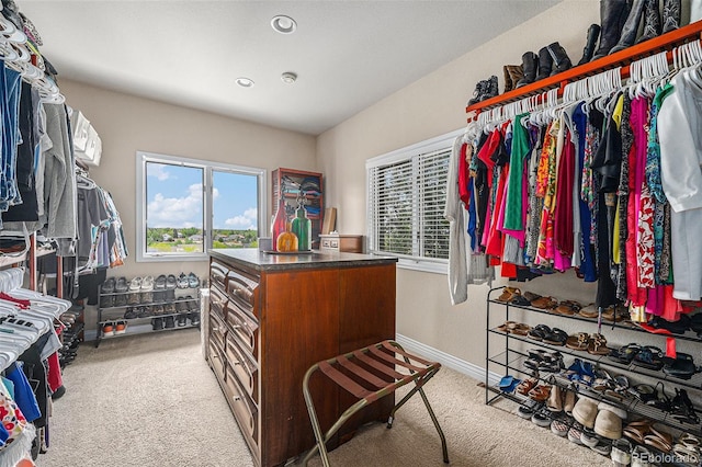 7522 S Mount Zirkel, Littleton, CO 80127 - walk in closet featuring light colored carpet