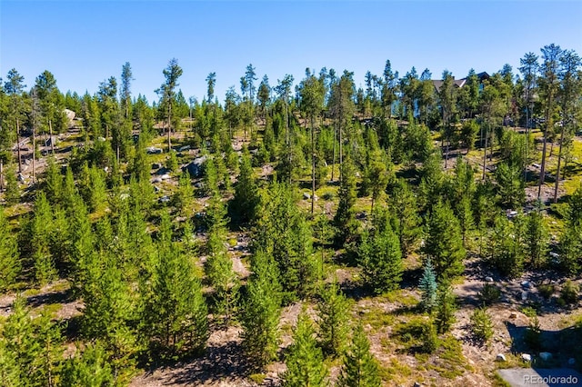 51 Gcr 6621, Grand Lake, CO 80447 - photo 4