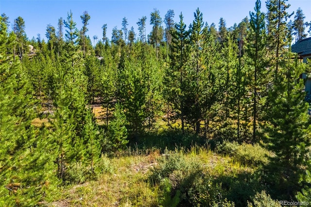 51 Gcr 6621, Grand Lake, CO 80447 - photo 5