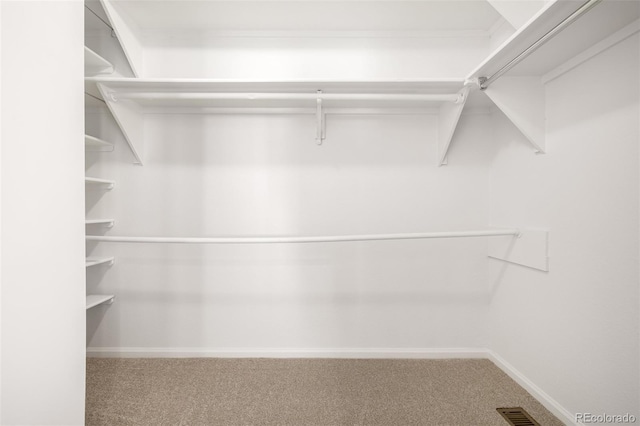 spacious closet featuring carpet