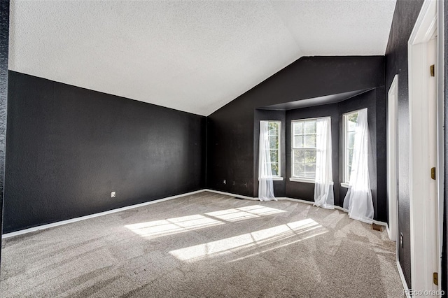 additional living space featuring lofted ceiling, a textured ceiling, and light colored carpet