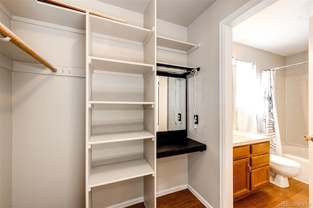 spacious closet featuring dark hardwood / wood-style flooring