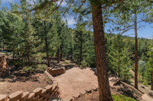 5699 Northwood Dr, Evergreen, CO 80439 - photo 36