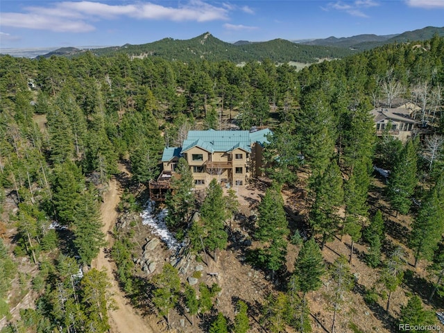 5699 Northwood Dr, Evergreen, CO 80439 - photo 39