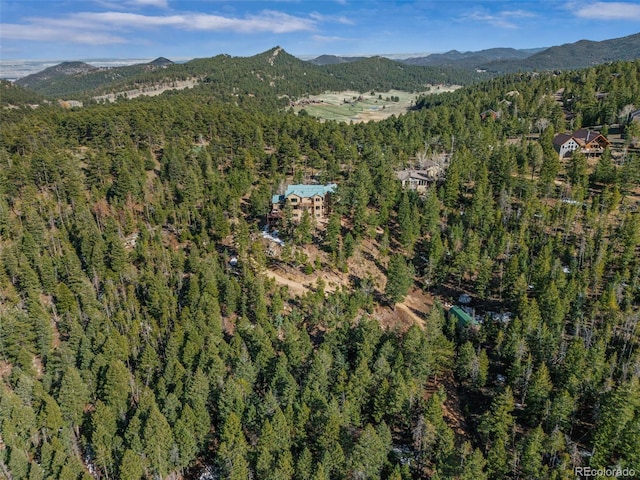 5699 Northwood Dr, Evergreen, CO 80439 - photo 40