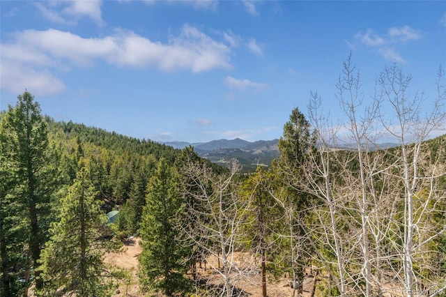 5699 Northwood Dr, Evergreen, CO 80439 - photo 41