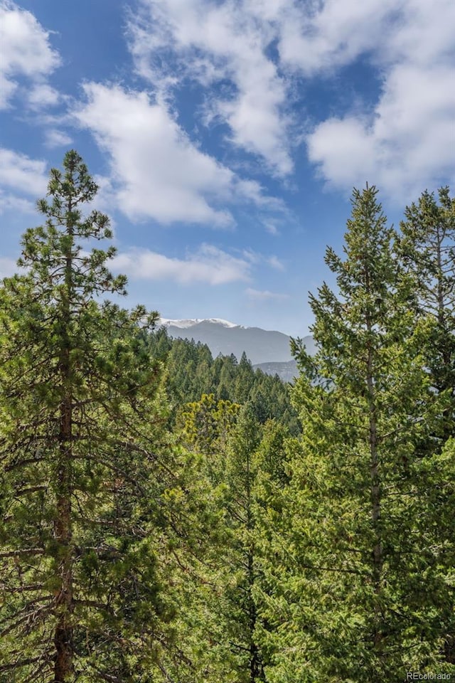 5699 Northwood Dr, Evergreen, CO 80439 - photo 42