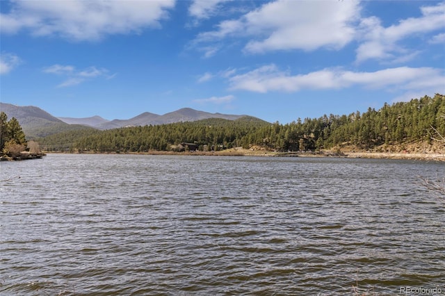 5699 Northwood Dr, Evergreen, CO 80439 - photo 45