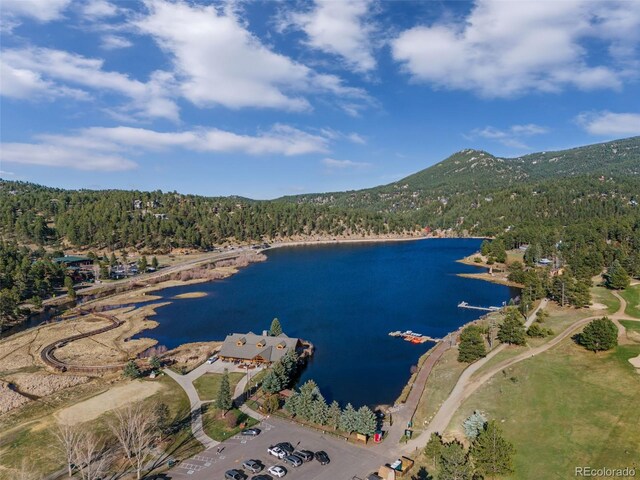 5699 Northwood Dr, Evergreen, CO 80439 - photo 46