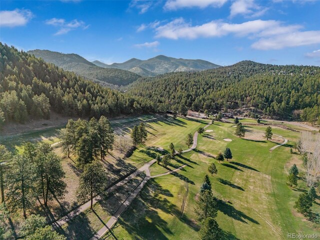 5699 Northwood Dr, Evergreen, CO 80439 - photo 47