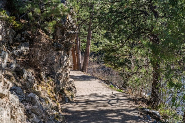 5699 Northwood Dr, Evergreen, CO 80439 - photo 48