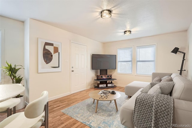 living room featuring light hardwood / wood-style flooring