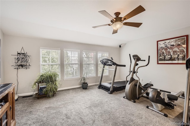 workout area featuring ceiling fan, plenty of natural light, and carpet