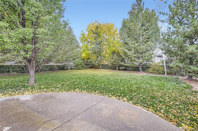 view of yard with a patio area