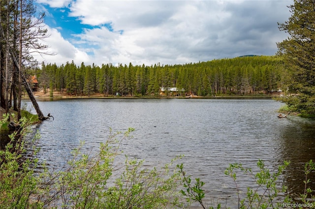 water view featuring a wooded view