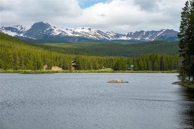 view of mountain feature featuring a water view and a forest view