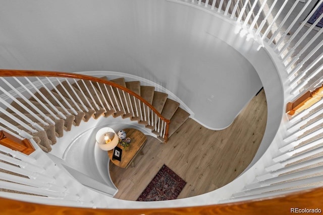 10837 Fox Sedge Way, Highlands Ranch, CO 80126 - stairs featuring wood finished floors
