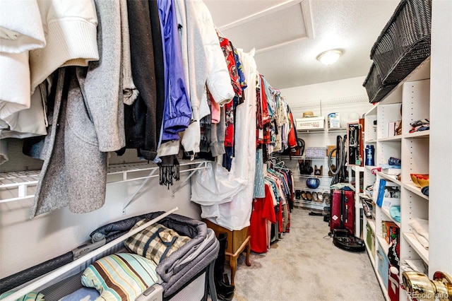 walk in closet with light carpet