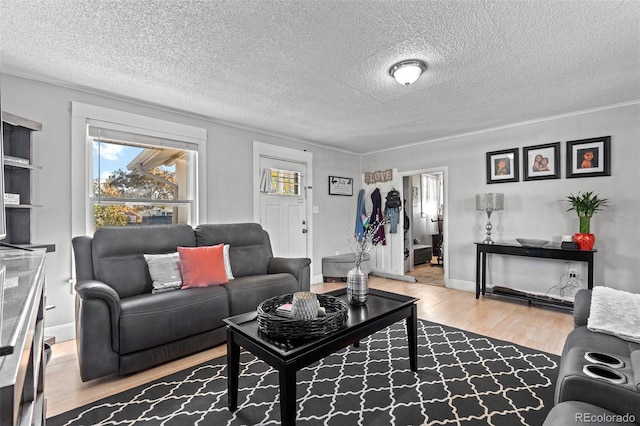 living room featuring a textured ceiling and wood-type flooring