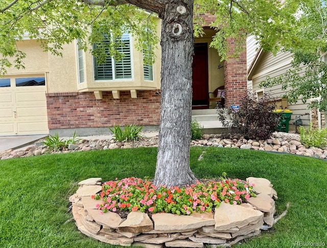 10633 Wynspire Way, Highlands Ranch, CO 80130 - property entrance featuring brick siding, a lawn, and stucco siding