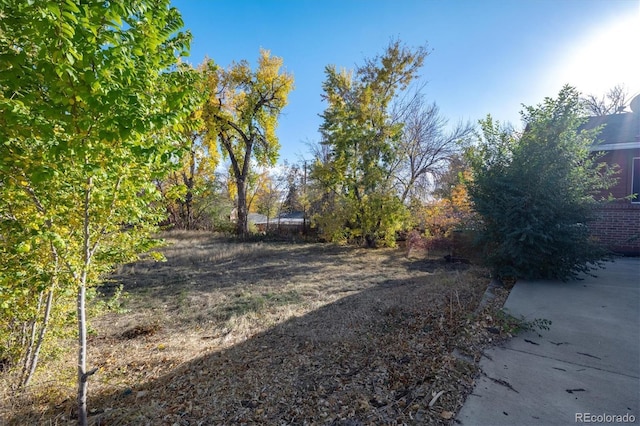 3900 Turnpike Dr, Westminster, CO 80030 - view of yard