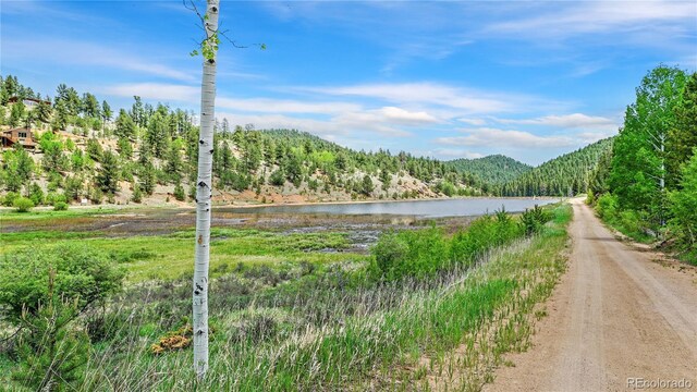 339 Hall Rd, Bailey, CO 80421 - view of dirt / gravel road featuring a water and mountain view and a wooded view