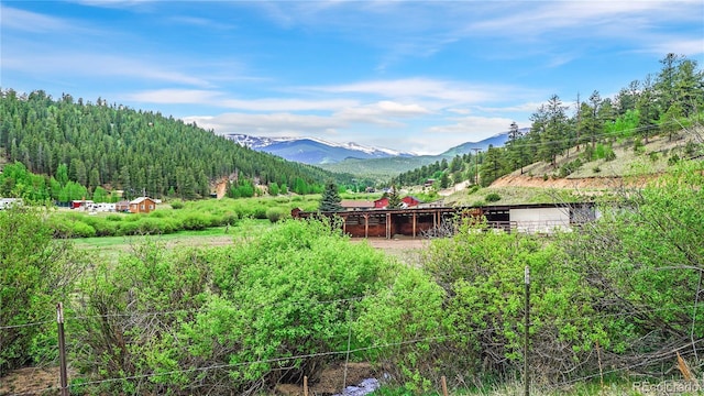 339 Hall Rd, Bailey, CO 80421 - view of mountain background featuring a forest