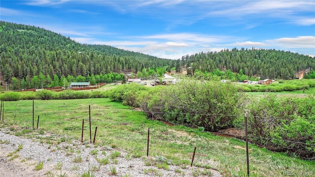 339 Hall Rd, Bailey, CO 80421 - mountain view with a heavily wooded area