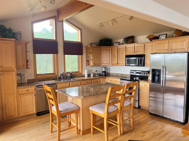 kitchen featuring light hardwood / wood-style flooring, sink, stainless steel appliances, and rail lighting