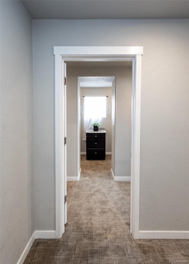 corridor featuring carpet floors