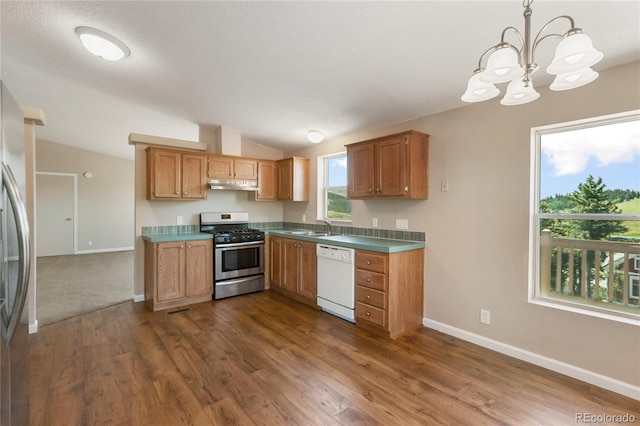 235 W May St, Cripple Creek, CO 80813 - kitchen with appliances with stainless steel finishes, under cabinet range hood, a chandelier, vaulted ceiling, and dark wood-type flooring