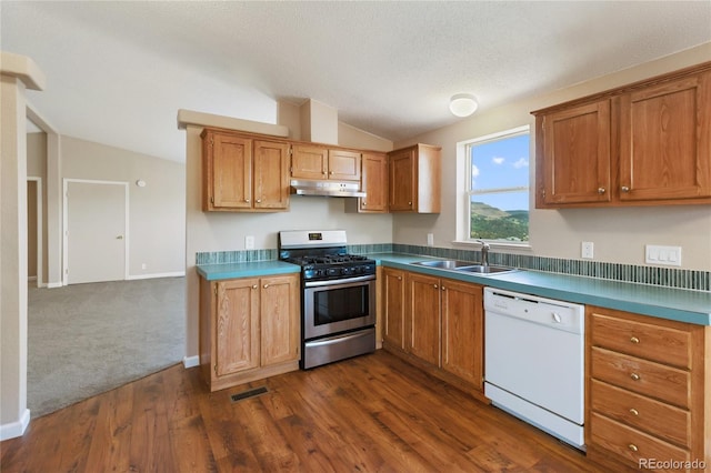 235 W May St, Cripple Creek, CO 80813 - kitchen with white dishwasher, stainless steel range with gas cooktop, vaulted ceiling, under cabinet range hood, and dark wood-style flooring