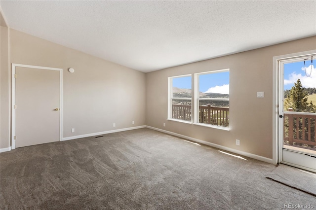 235 W May St, Cripple Creek, CO 80813 - unfurnished room featuring carpet floors and a textured ceiling