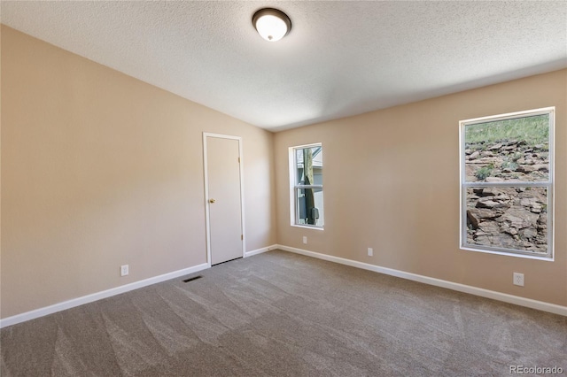 235 W May St, Cripple Creek, CO 80813 - empty room with carpet flooring, a textured ceiling, and lofted ceiling