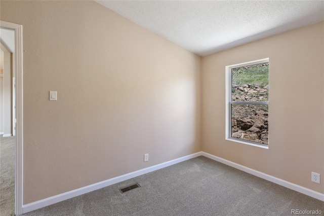 235 W May St, Cripple Creek, CO 80813 - spare room with carpet and a textured ceiling