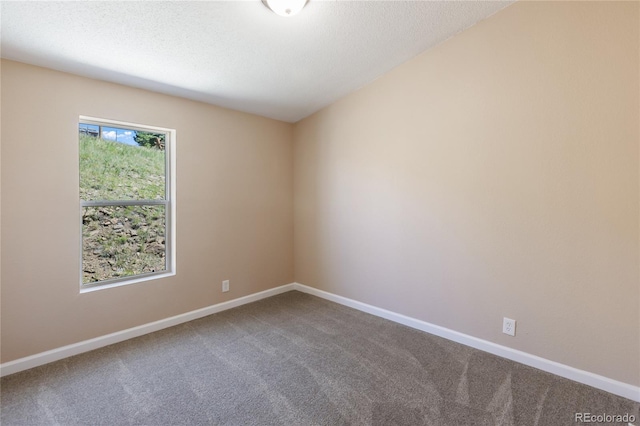 235 W May St, Cripple Creek, CO 80813 - carpeted spare room with baseboards