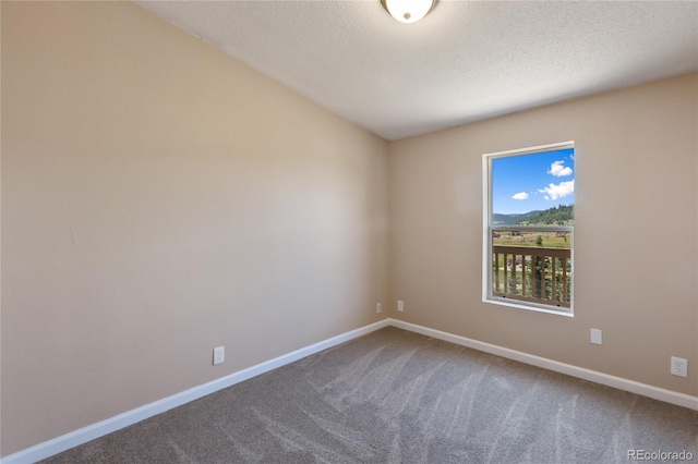 235 W May St, Cripple Creek, CO 80813 - carpeted empty room with baseboards and a textured ceiling