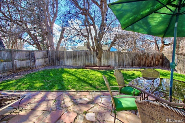 view of yard featuring a patio area