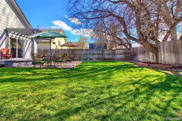 view of yard featuring a patio area