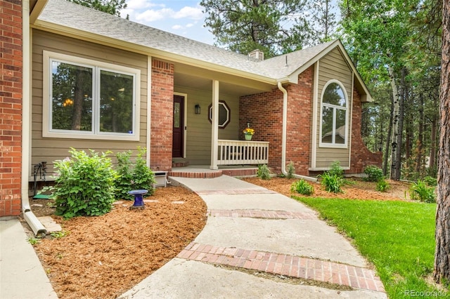 19165 Golden Arrow Cir, Monument, CO 80132 - property entrance featuring covered porch, brick siding, roof with shingles, and a chimney