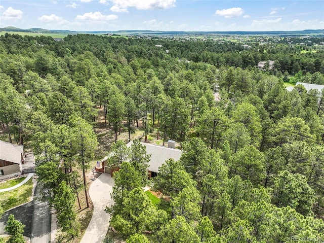 19165 Golden Arrow Cir, Monument, CO 80132 - bird's eye view of a forest