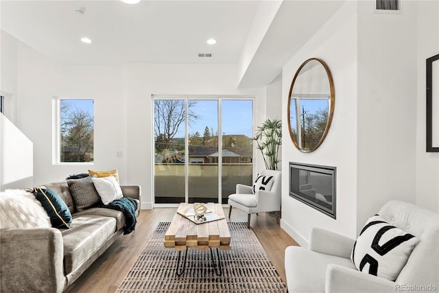 living room featuring wood-type flooring